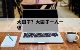 大圆子？大圆子一人一猫