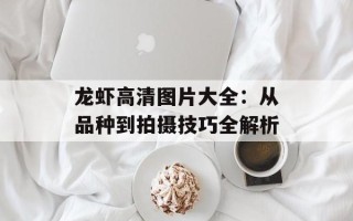 龙虾高清图片大全：从品种到拍摄技巧全解析