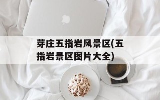 芽庄五指岩风景区(五指岩景区图片大全)