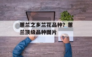 蕙兰之乡兰花品种？蕙兰顶级品种图片