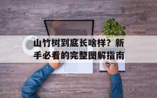 山竹树到底长啥样？新手必看的完整图解指南