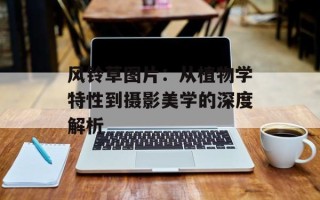 风铃草图片：从植物学特性到摄影美学的深度解析