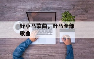 野小马歌曲，野马全部歌曲