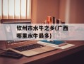 钦州市水牛之乡(广西哪里水牛最多)