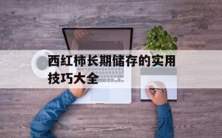 西红柿长期储存的实用技巧大全