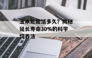 玉米蛇能活多久？揭秘延长寿命30%的科学饲养法