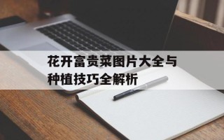 花开富贵菜图片大全与种植技巧全解析