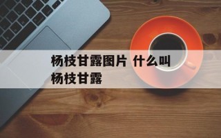 杨枝甘露图片 什么叫杨枝甘露