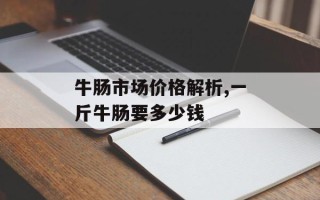 牛肠市场价格解析,一斤牛肠要多少钱