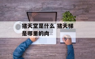 猪天堂是什么 猪天梯是哪里的肉