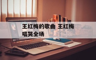 王红梅的歌曲 王红梅唱哭全场