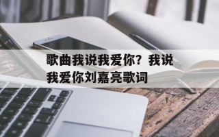 歌曲我说我爱你？我说我爱你刘嘉亮歌词