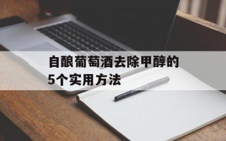 自酿葡萄酒去除甲醇的5个实用方法