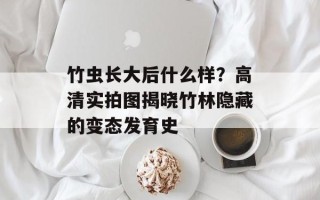 竹虫长大后什么样？高清实拍图揭晓竹林隐藏的变态发育史