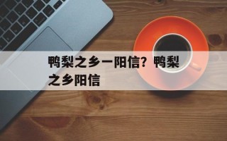 鸭梨之乡一阳信？鸭梨之乡阳信