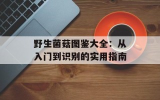 野生菌菇图鉴大全：从入门到识别的实用指南