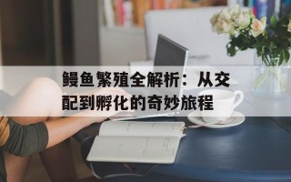 鳗鱼繁殖全解析：从交配到孵化的奇妙旅程
