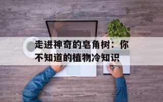 走进神奇的皂角树：你不知道的植物冷知识