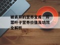 被丢弃的营养宝库：芹菜叶子营养价值及功效全解析