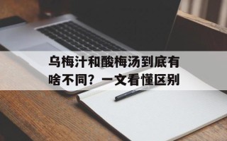乌梅汁和酸梅汤到底有啥不同？一文看懂区别