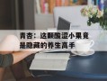青杏：这颗酸涩小果竟是隐藏的养生高手