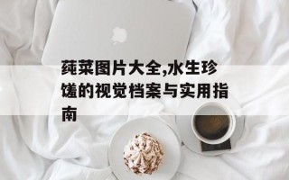 莼菜图片大全,水生珍馐的视觉档案与实用指南