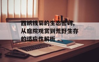 西绣线菊的生态密码,从庭院观赏到荒野生存的适应性解析