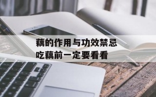 藕的作用与功效禁忌 吃藕前一定要看看