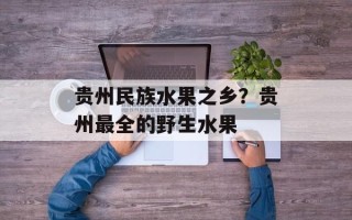 贵州民族水果之乡？贵州最全的野生水果