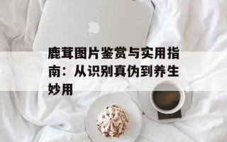 鹿茸图片鉴赏与实用指南：从识别真伪到养生妙用