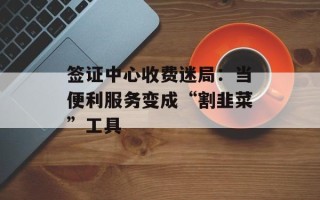 签证中心收费迷局：当便利服务变成“割韭菜”工具