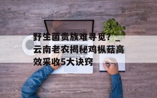 野生菌贵族难寻觅？_云南老农揭秘鸡枞菇高效采收5大诀窍