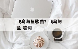 飞鸟与鱼歌曲？飞鸟与鱼 歌词