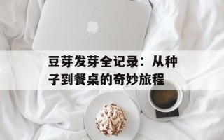 豆芽发芽全记录：从种子到餐桌的奇妙旅程