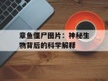 章鱼僵尸图片：神秘生物背后的科学解释