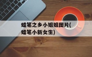 蜡笔之乡小姐姐图片(蜡笔小新女生)
