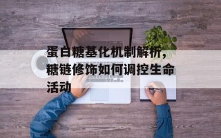 蛋白糖基化机制解析,糖链修饰如何调控生命活动