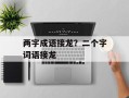 两字成语接龙？二个字词语接龙