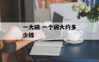 一大碗 一个碗大约多少钱
