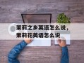 茉莉之乡英语怎么说，茉莉花英语怎么说