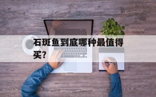 石斑鱼到底哪种最值得买？