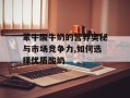蒙牛酸牛奶的营养奥秘与市场竞争力,如何选择优质酸奶