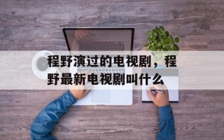程野演过的电视剧，程野最新电视剧叫什么