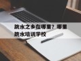 跳水之乡在哪里？哪里跳水培训学校
