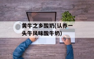 黄牛之乡酸奶(认养一头牛风味酸牛奶)