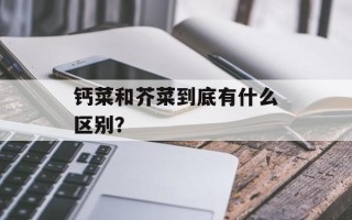 钙菜和芥菜到底有什么区别？