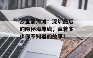 沙鱼涌海滩：深圳最后的隐秘海岸线，藏着多少你不知道的故事？
