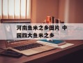 河南鱼米之乡图片 中国四大鱼米之乡