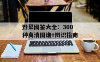 野菜图鉴大全：300种高清图谱+辨识指南