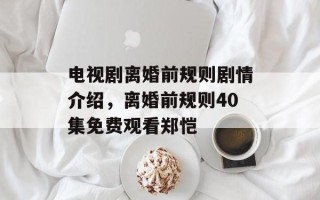 电视剧离婚前规则剧情介绍，离婚前规则40集免费观看郑恺